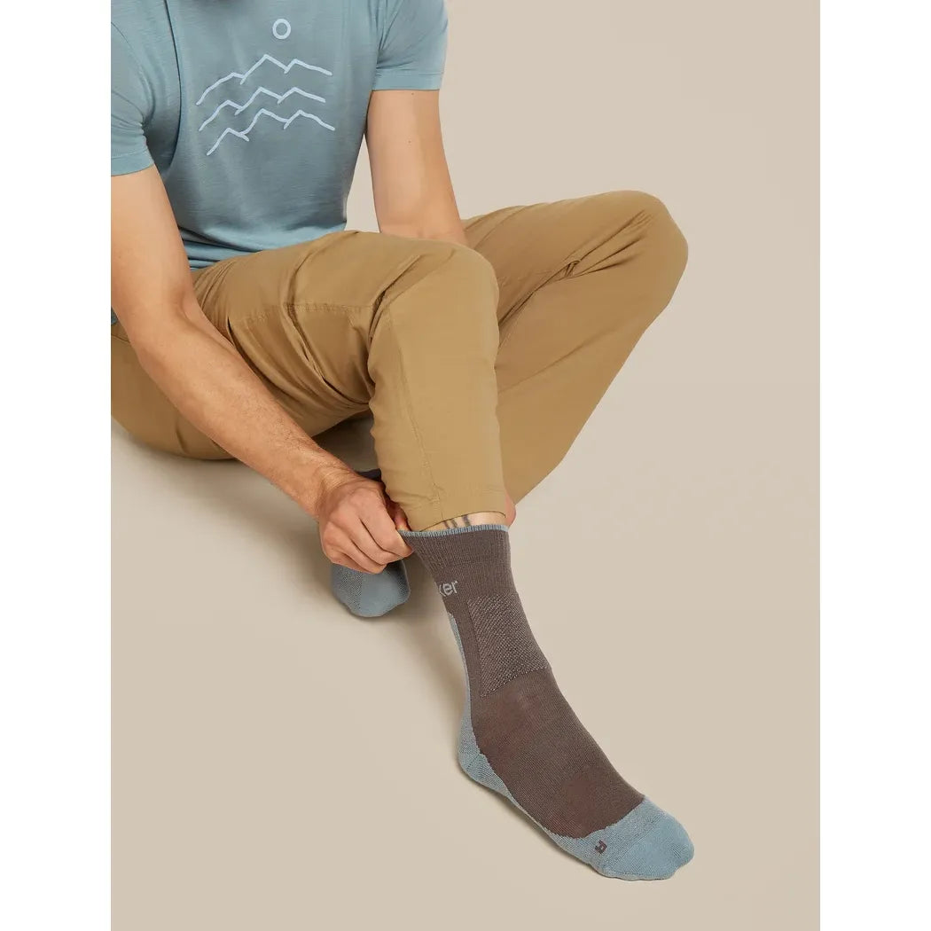 Icebreaker Men's Merino Hike+ Medium Crew Socks