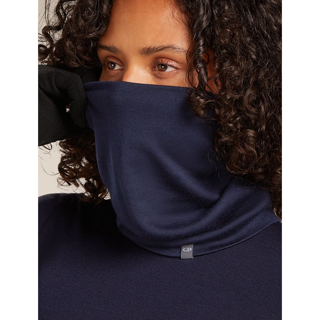 Icebreaker Merino 260 Oasis Chute
