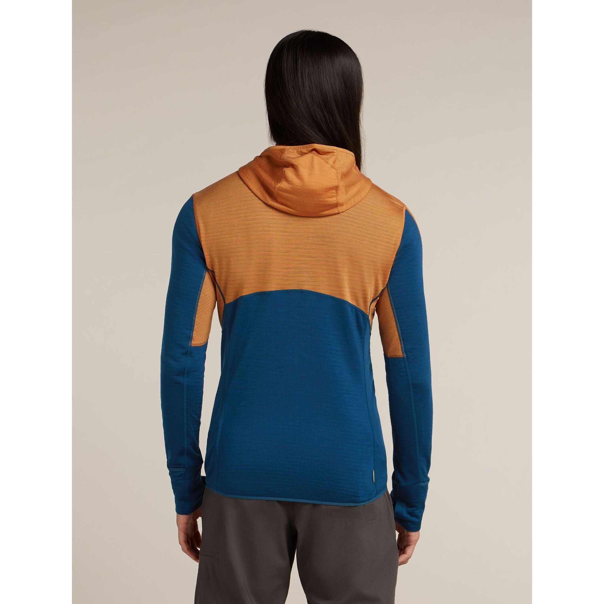 Icebreaker Men's Merino Blend 200 RealFleece Descender Long Sleeve Zip Hoodie