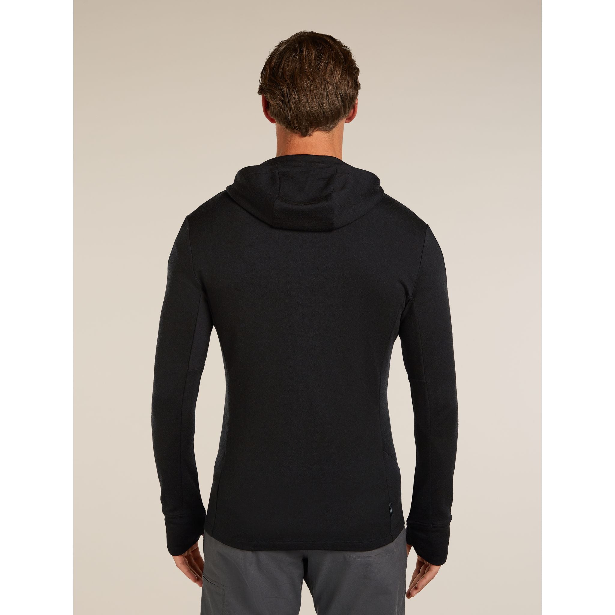 Icebreaker Men's Merino 260 Quantum Long Sleeve Zip Hoodie