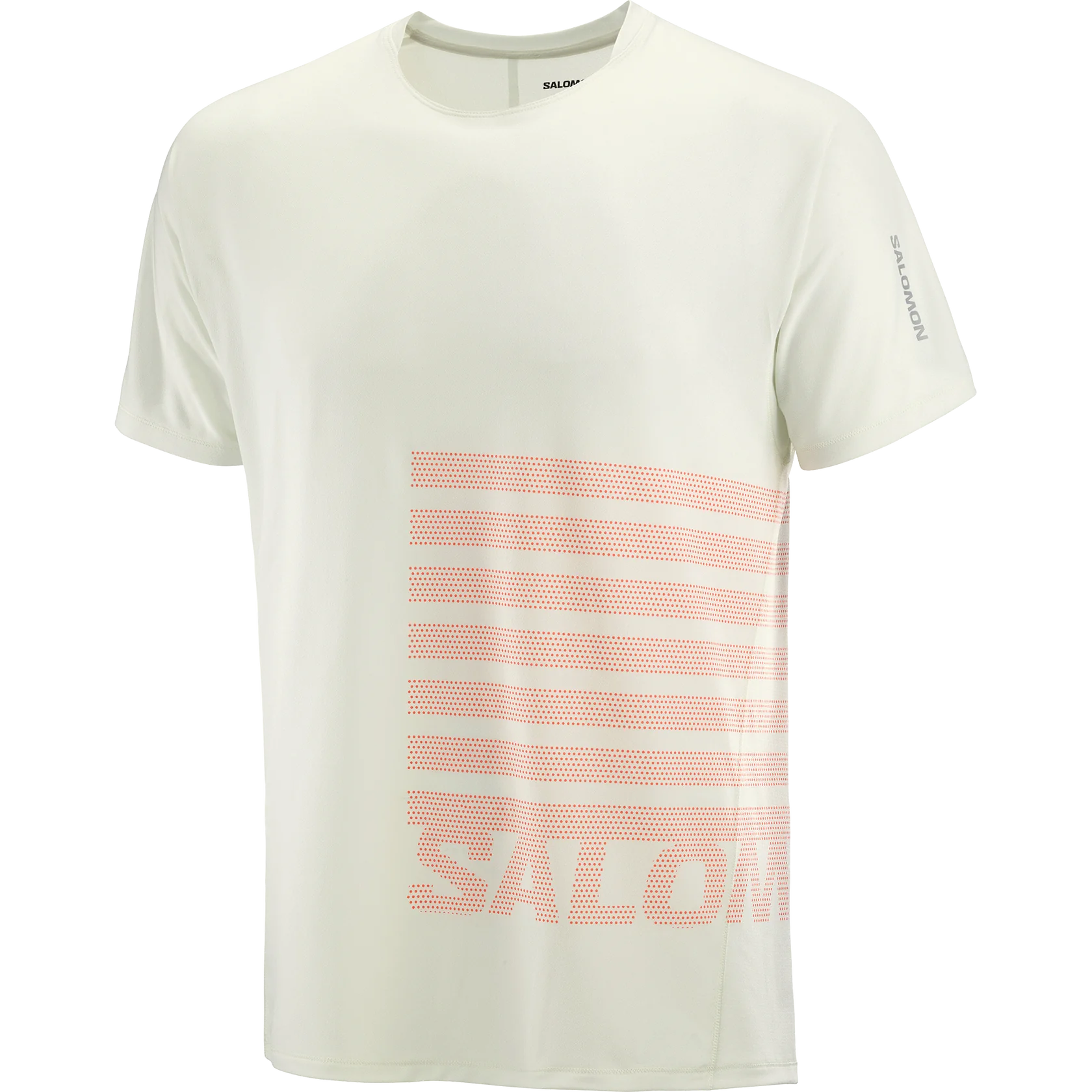 Salomon Men's Sense Aero Graphic Tee