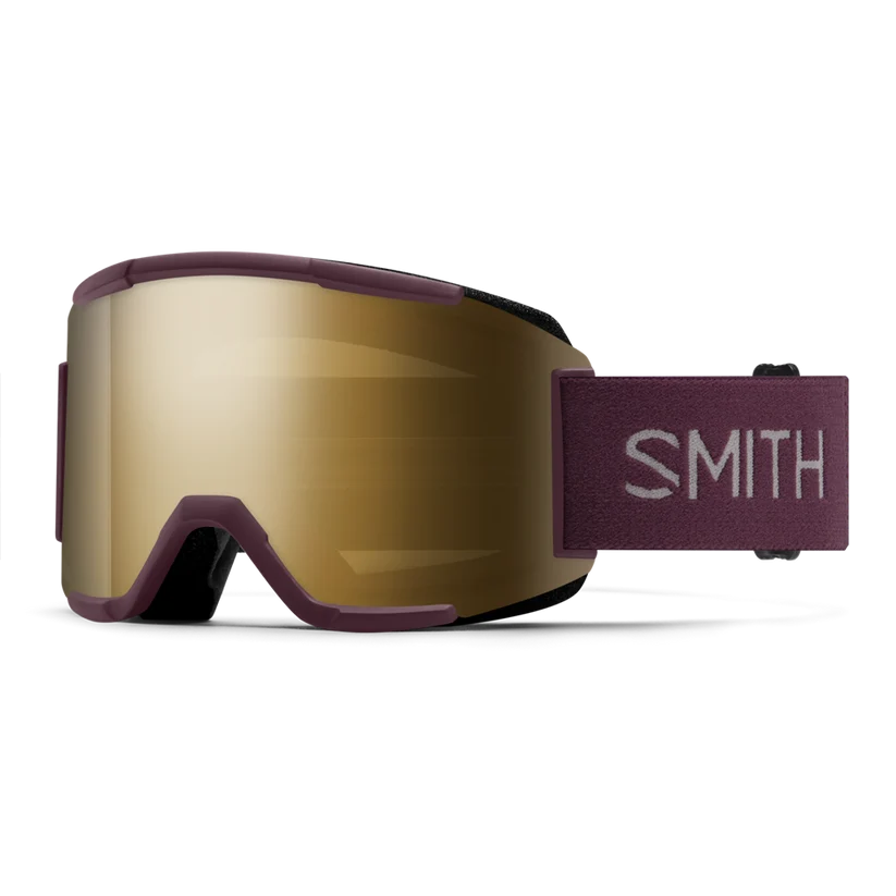 Smith Squad Snow Goggle