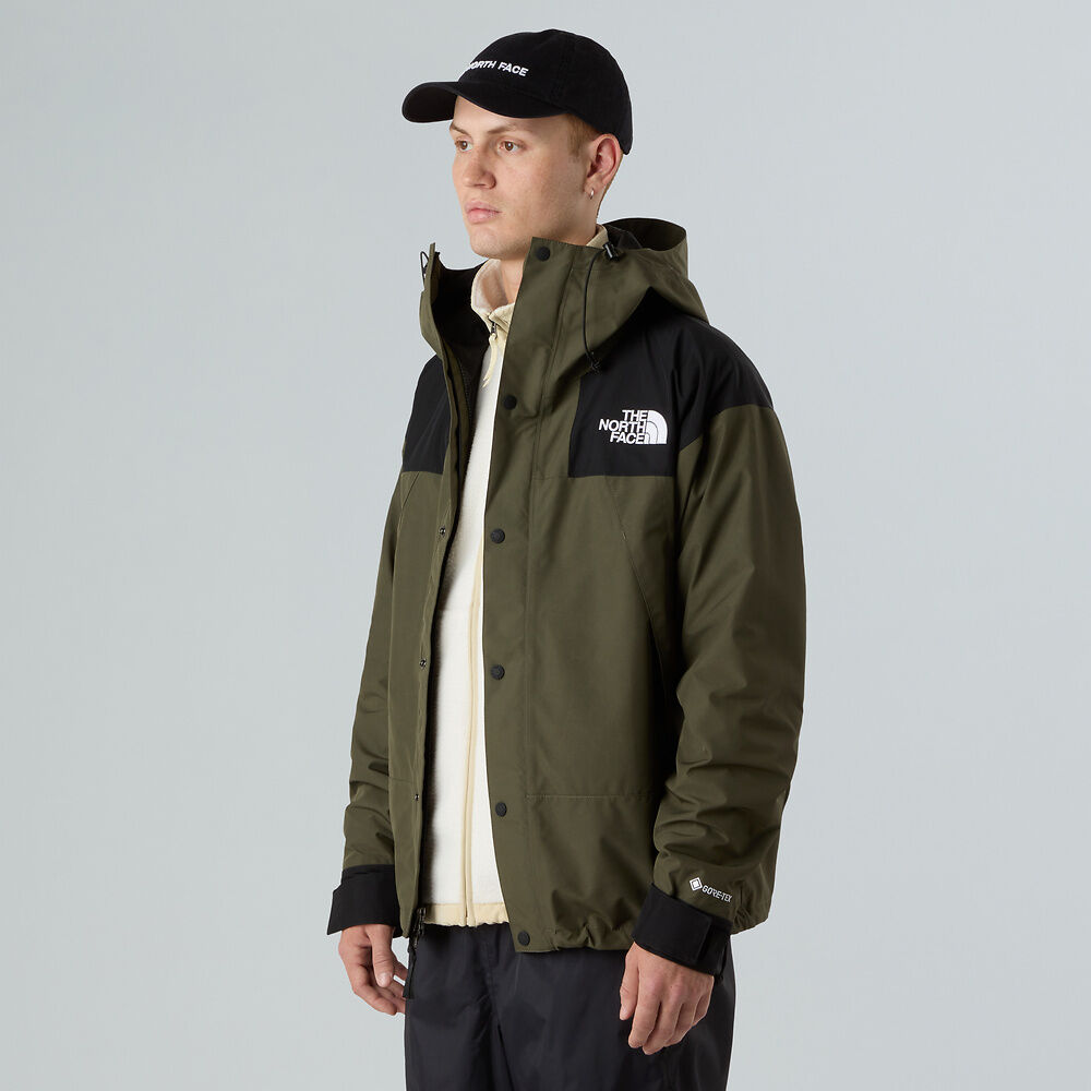 The North Face Men's GTX Mountain Jacket