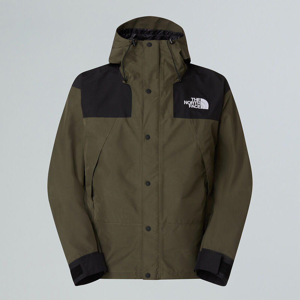The North Face Men's GTX Mountain Jacket