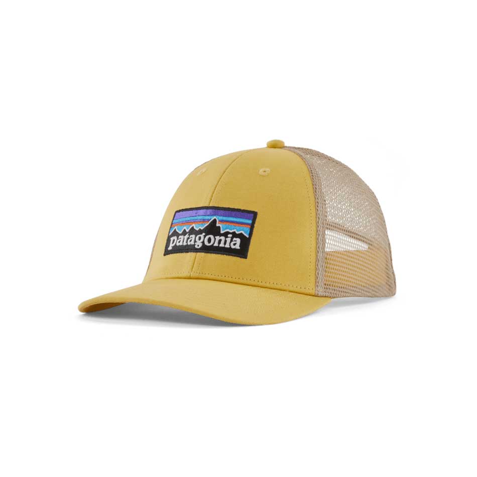 Patagonia P-6 Logo LoPro Trucker Hat