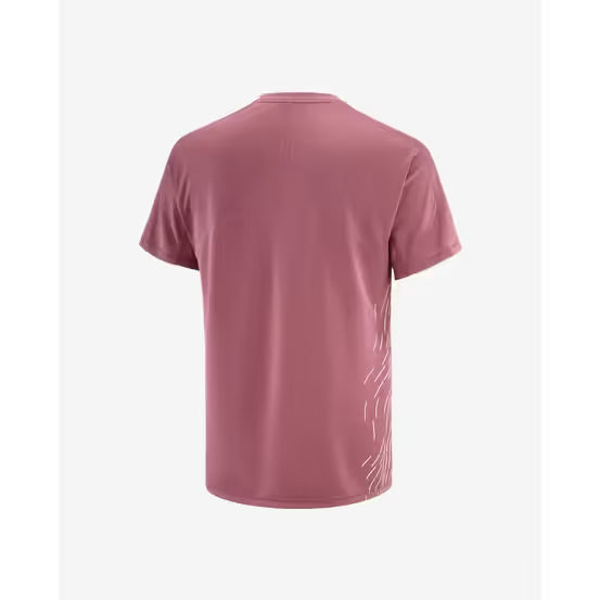 Salomon Men's Sense Aero Graphic Tee