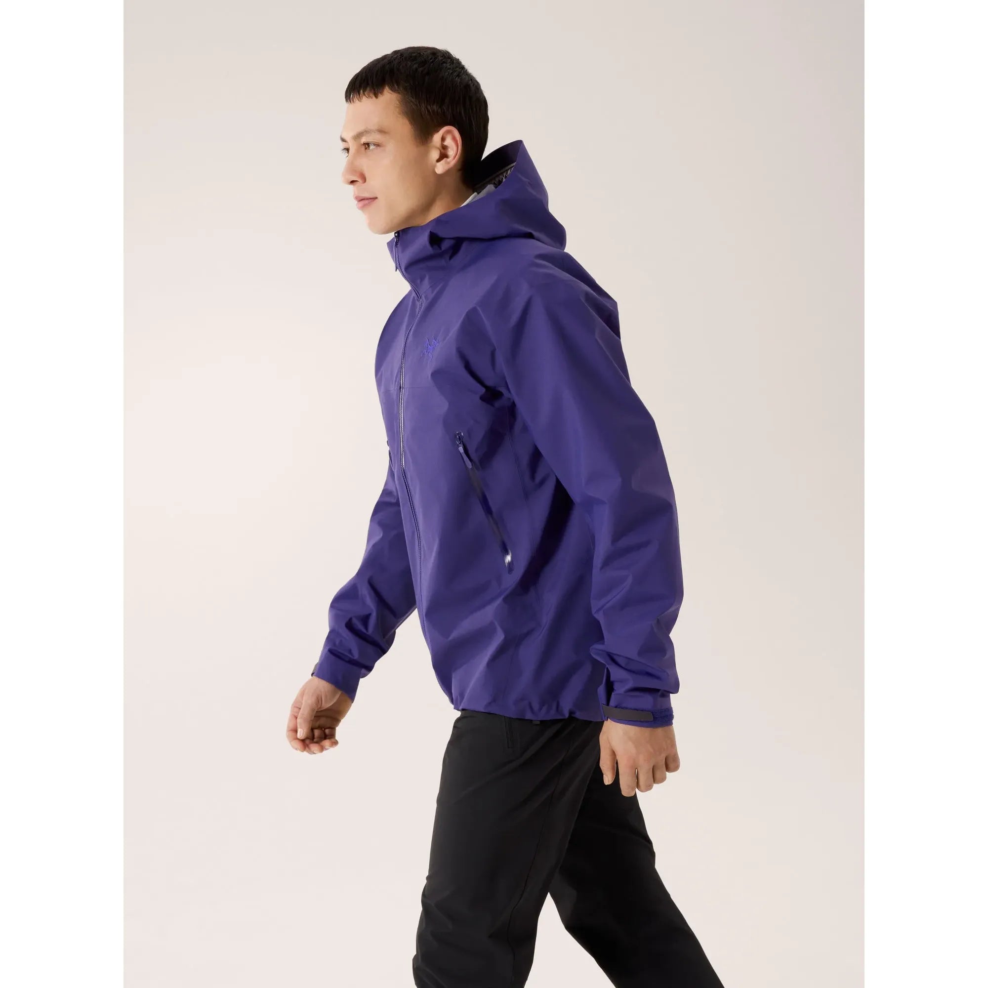 Arc'teryx Men's Beta Jacket