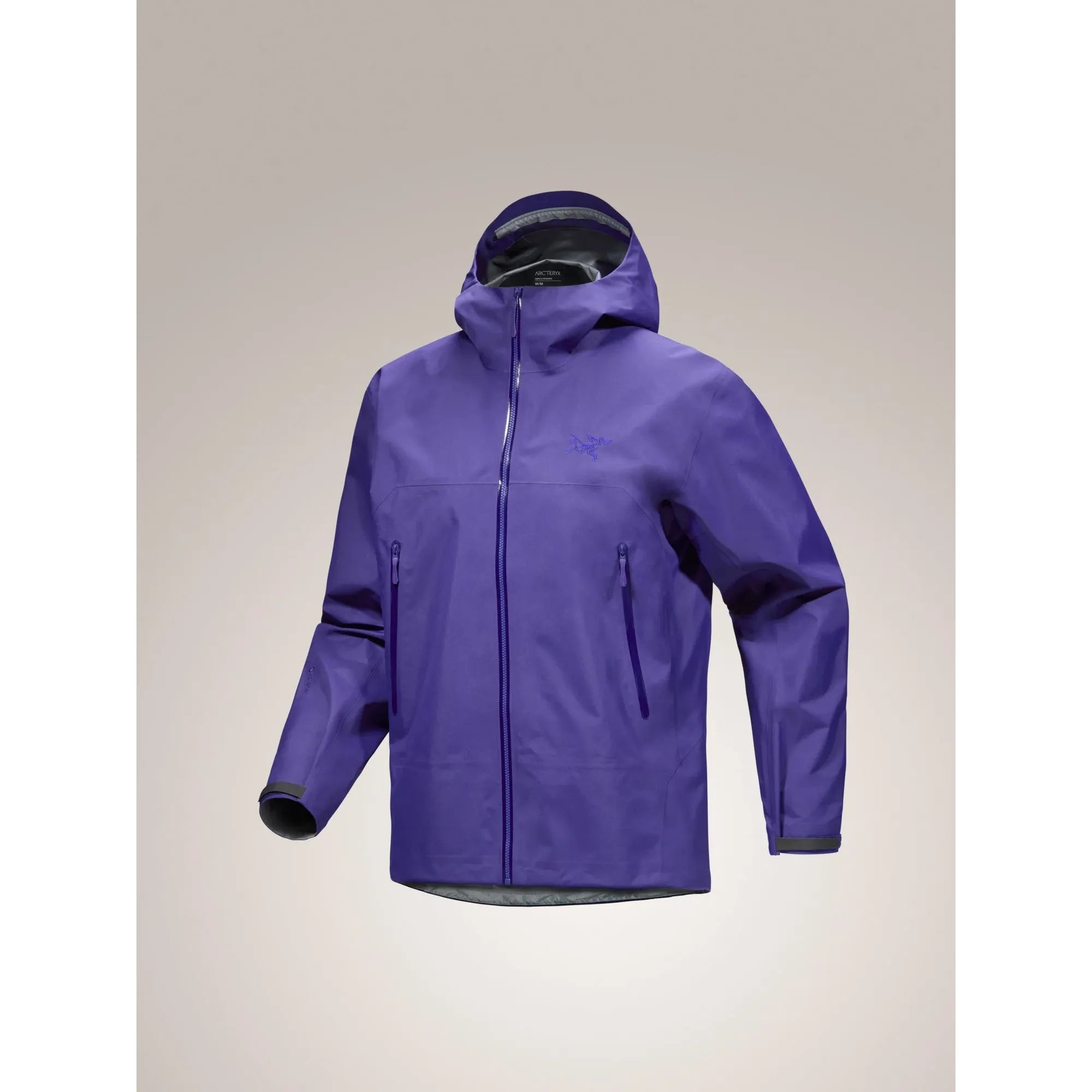 Arc'teryx Men's Beta Jacket