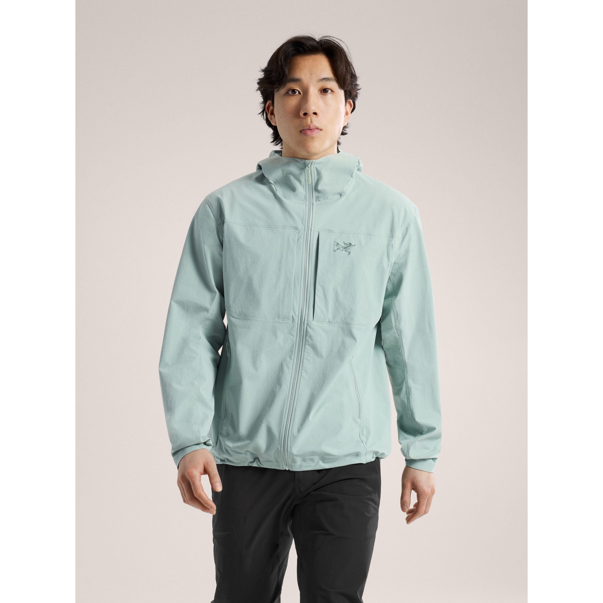 Arc'teryx Men's Gamma Lightweight Hoody