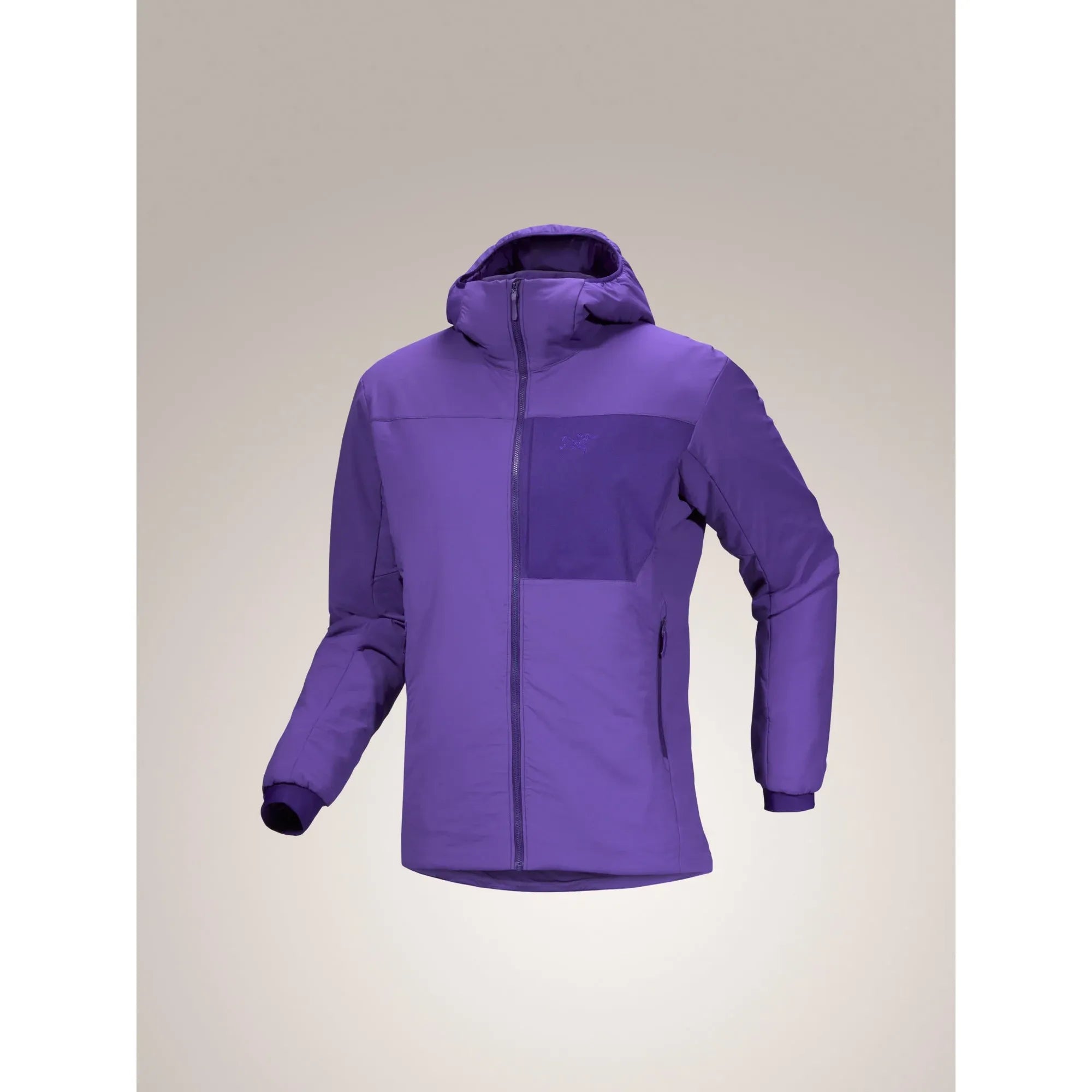 Arc'teryx Men's Proton Hoody