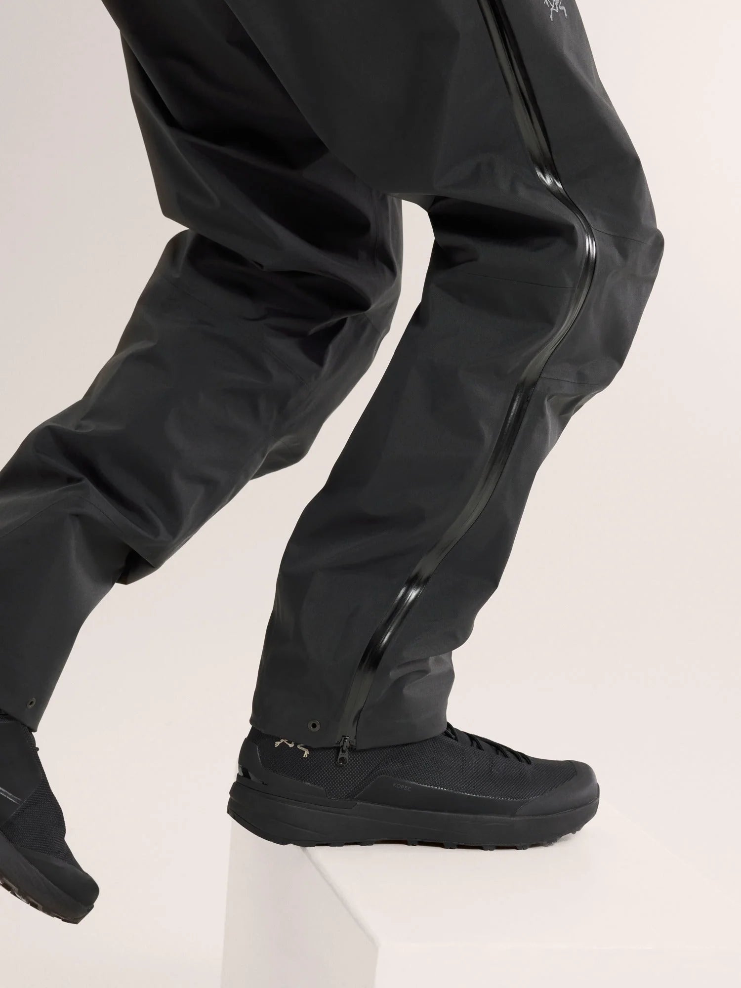Arc'teryx Men's Beta Pants Regular Length