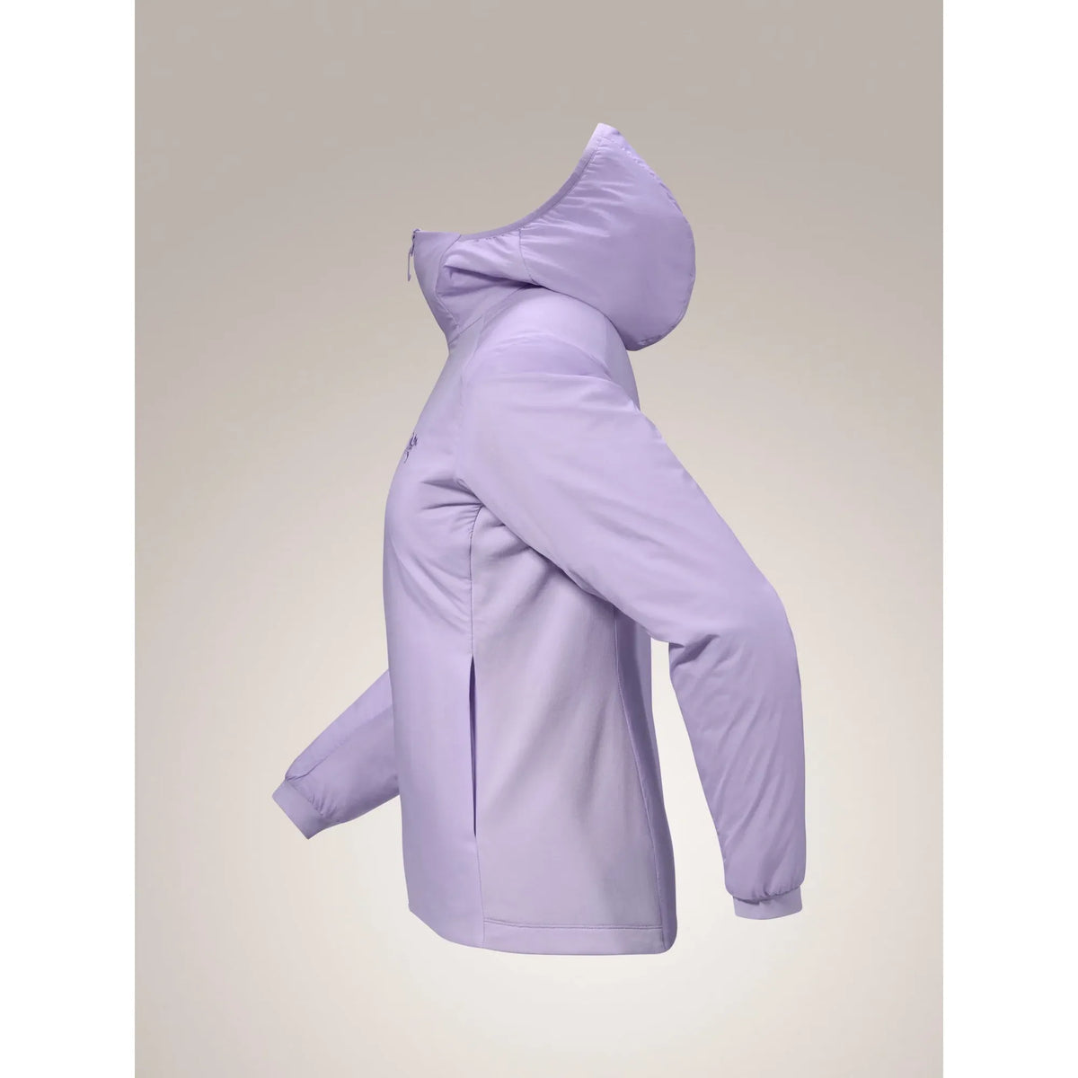 Arc'teryx Women's Atom Hoody