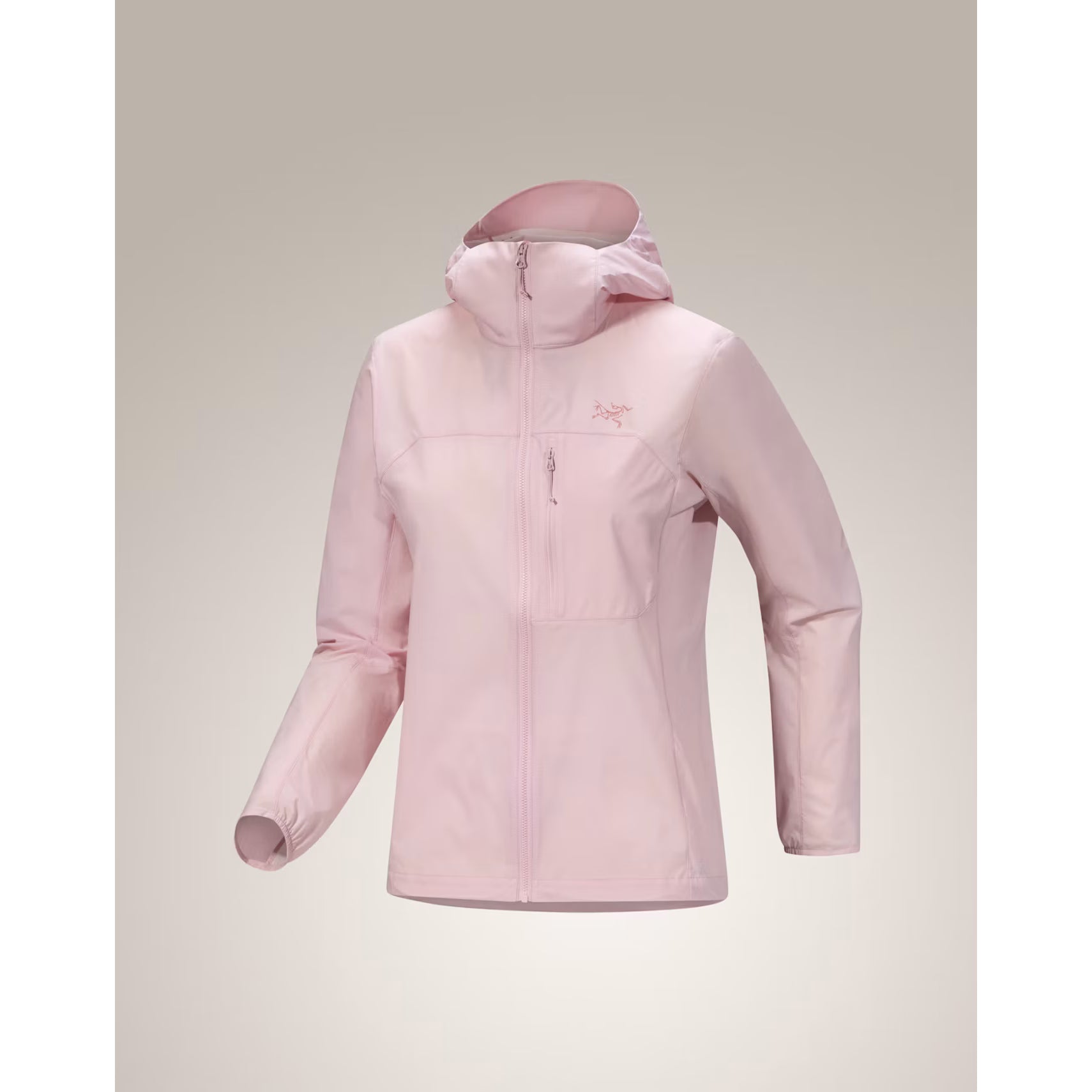 Arc'teryx Women's Squamish Hoody