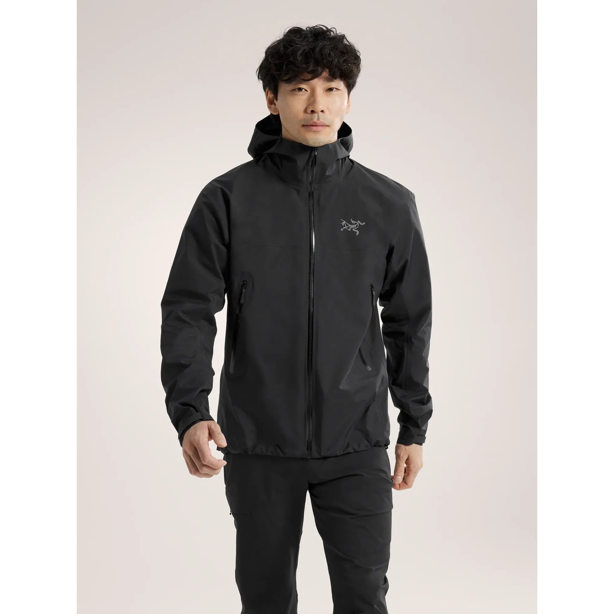 Arc'teryx Men's Beta Jacket
