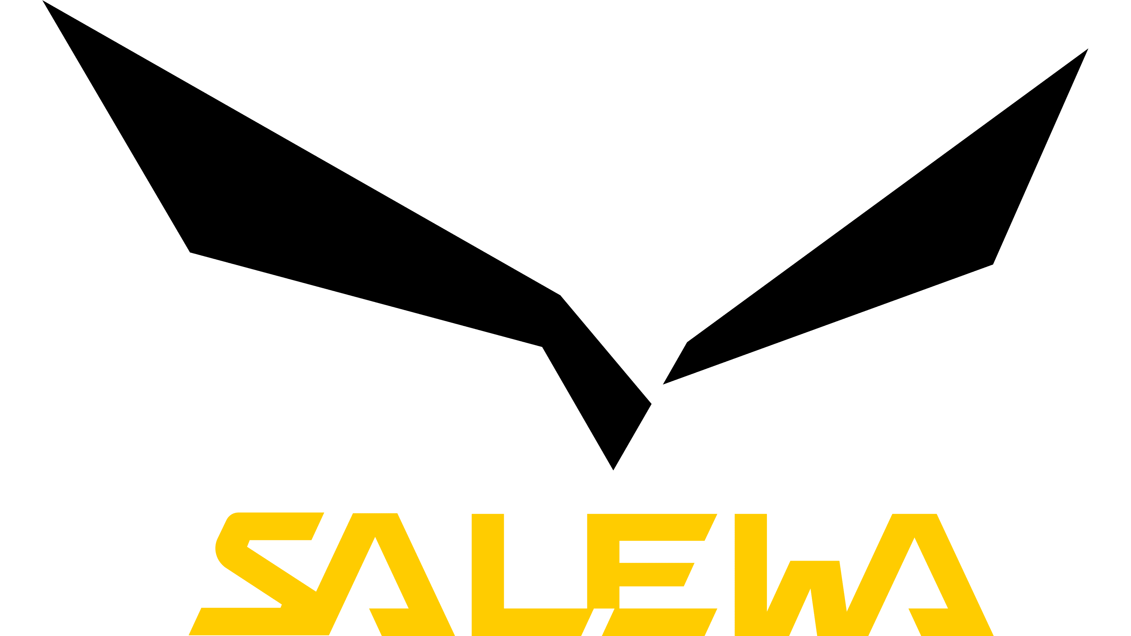 Salewa-logo - Outside Sports