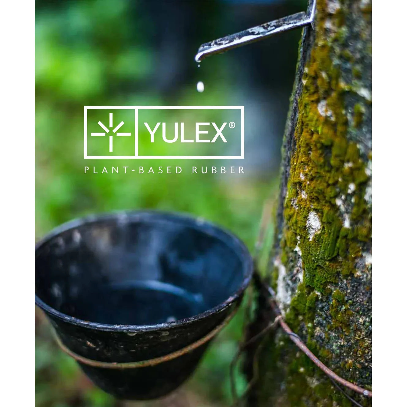 O'Neill Women's Bahia FZ LS Cheeky Spring 2mm