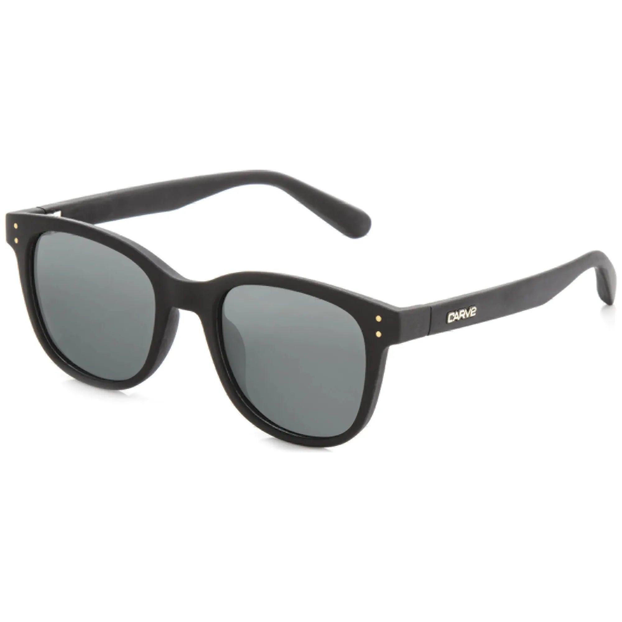 Carve Homeland Polarized Sunglasses