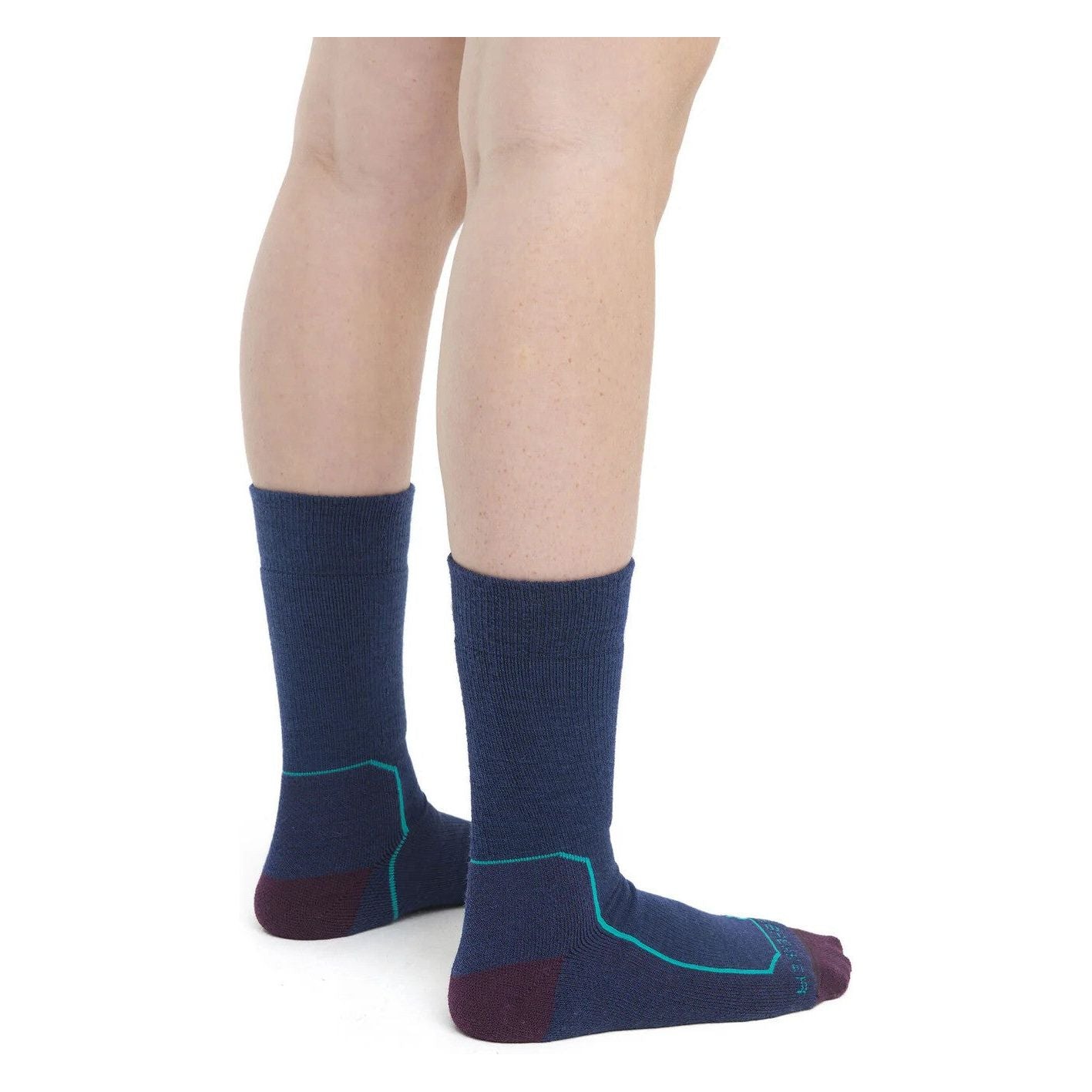 Icebreaker Women's Merino Hike+ Medium Crew Socks