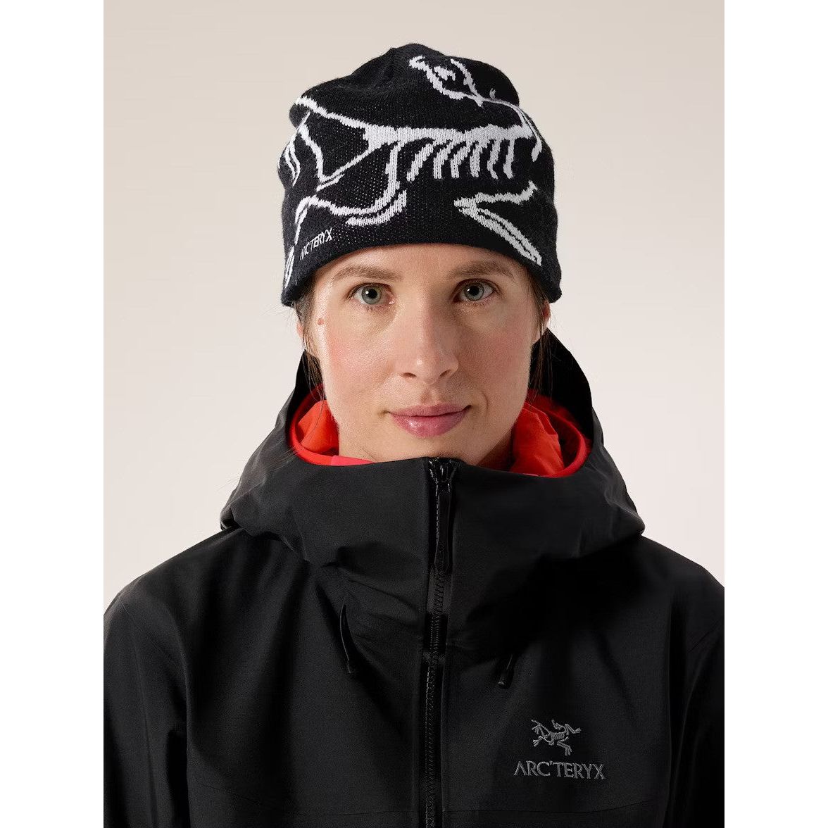 Arc'teryx Bird Head Toque Beanie