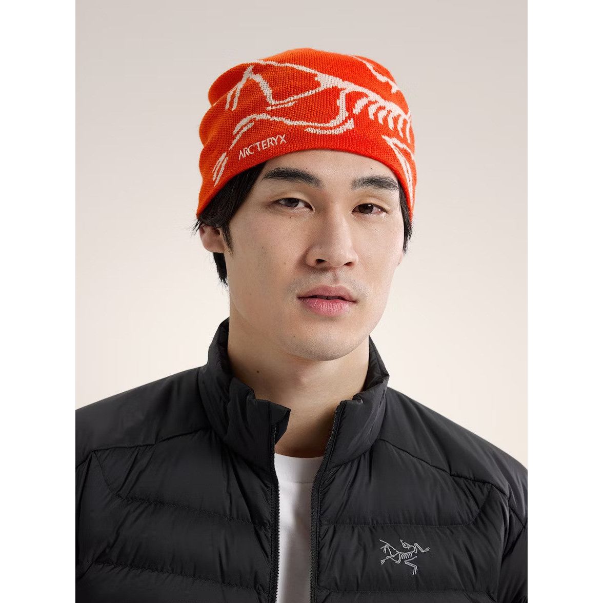Arc'teryx Bird Head Toque Beanie