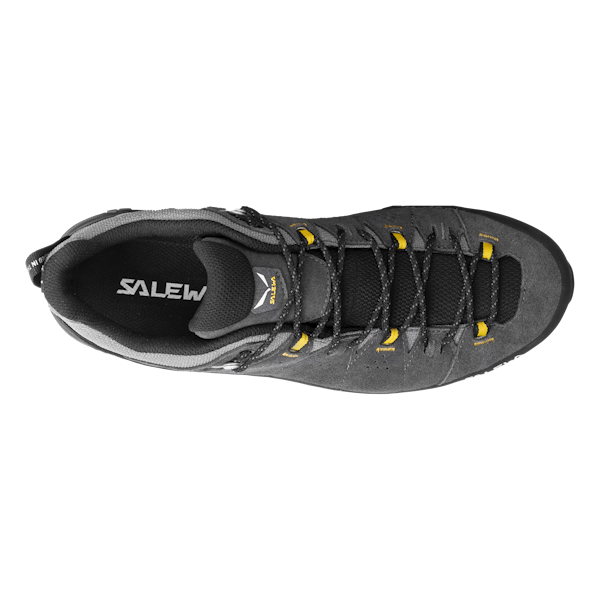 Salewa Men's Alp Trainer 2 Gore-Tex Hiking Shoes