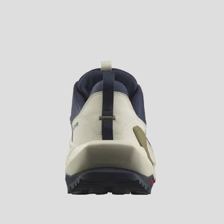 Salomon Men's Elixir Gore-Tex Hiking Shoes