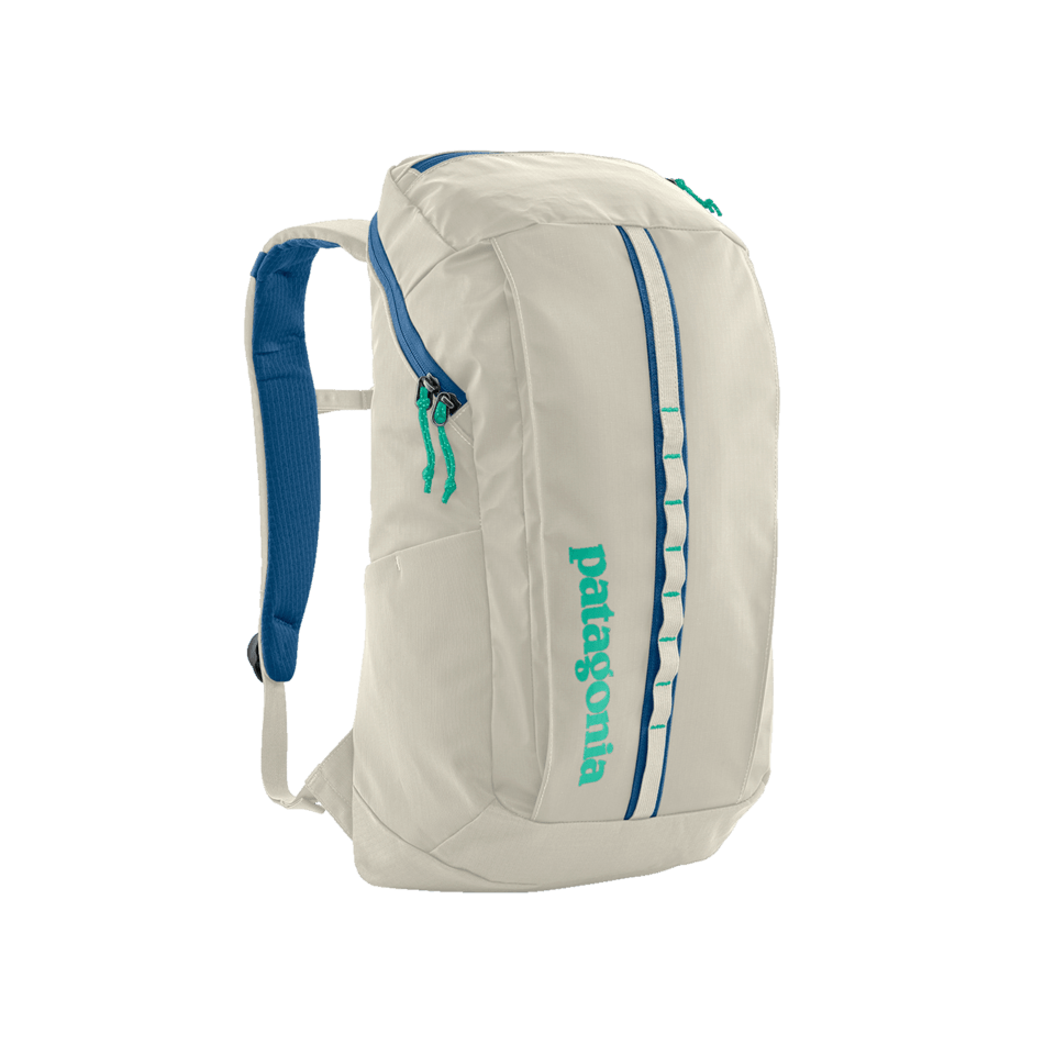 Patagonia Black Hole Pack 25L