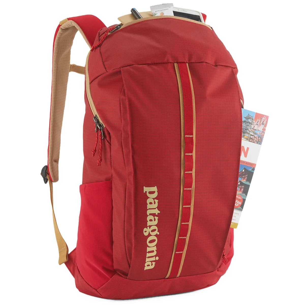 Patagonia Black Hole Pack 25L