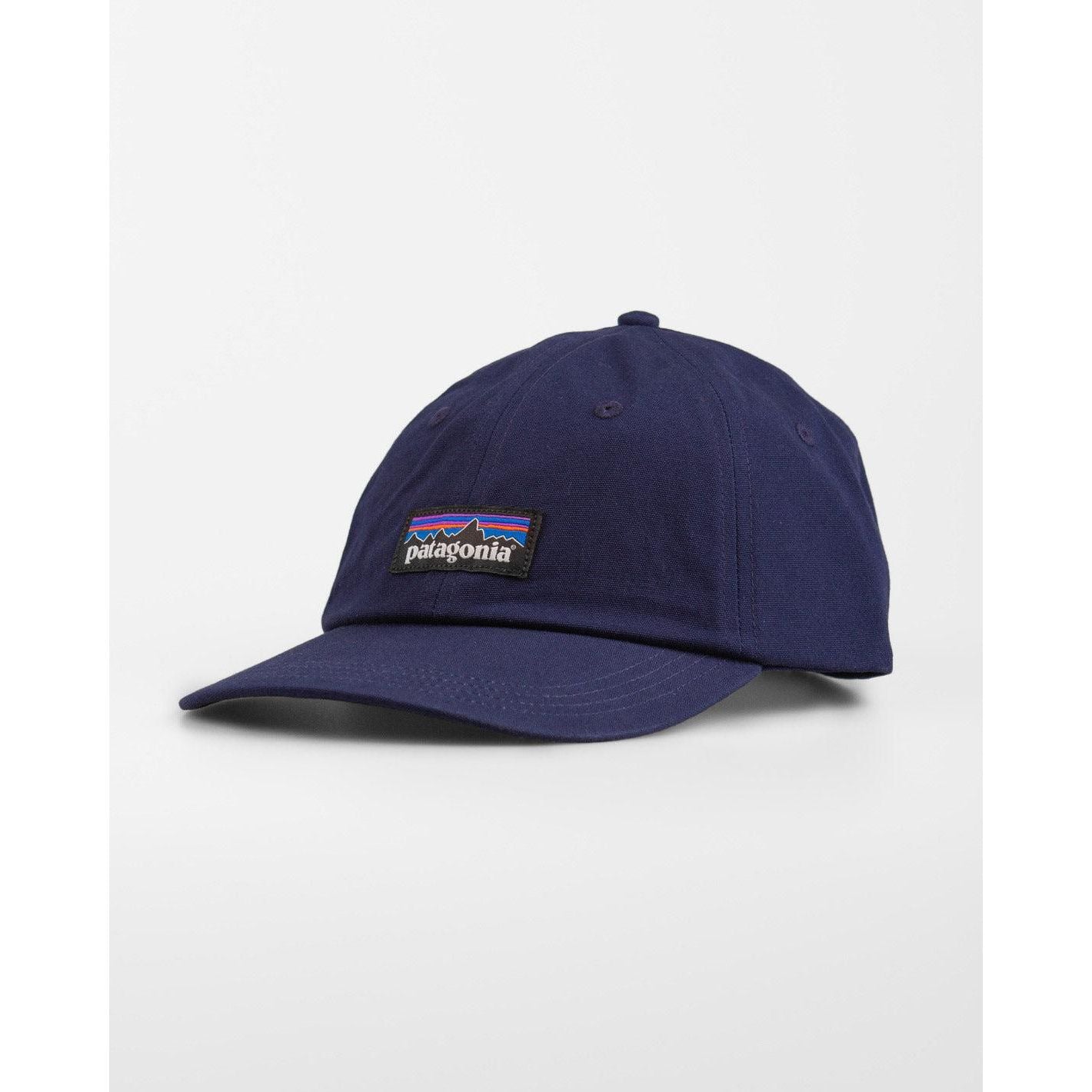Patagonia P-6 Label Trad Cap