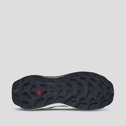 Salomon Men's Elixir Gore-Tex Hiking Shoes