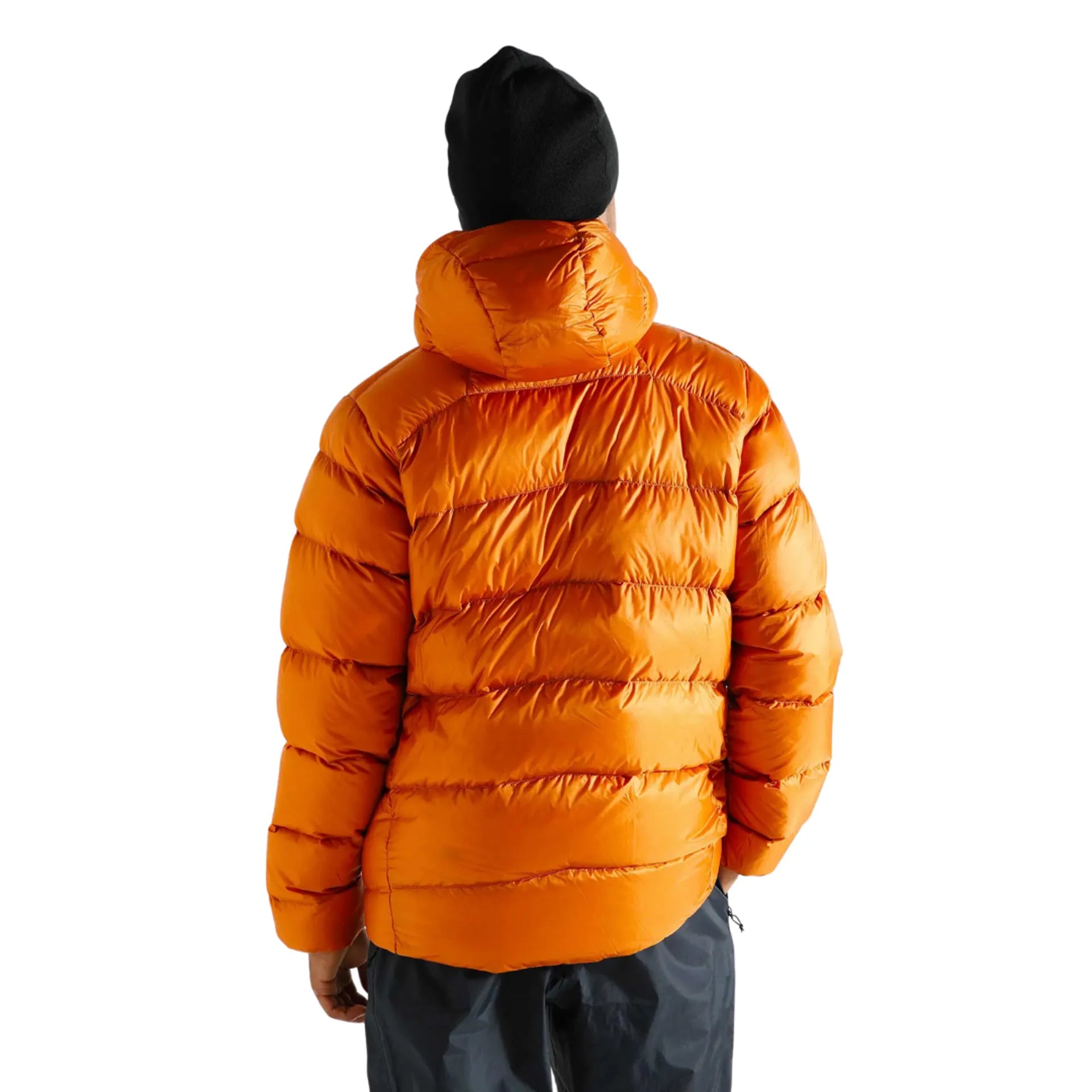 Patagonia Men's Fitz Roy Down Hoody