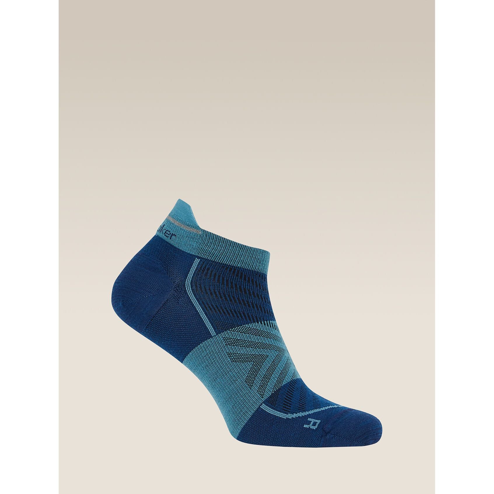 Icebreaker Men's Merino Blend Run+ Ultralight Micro Socks