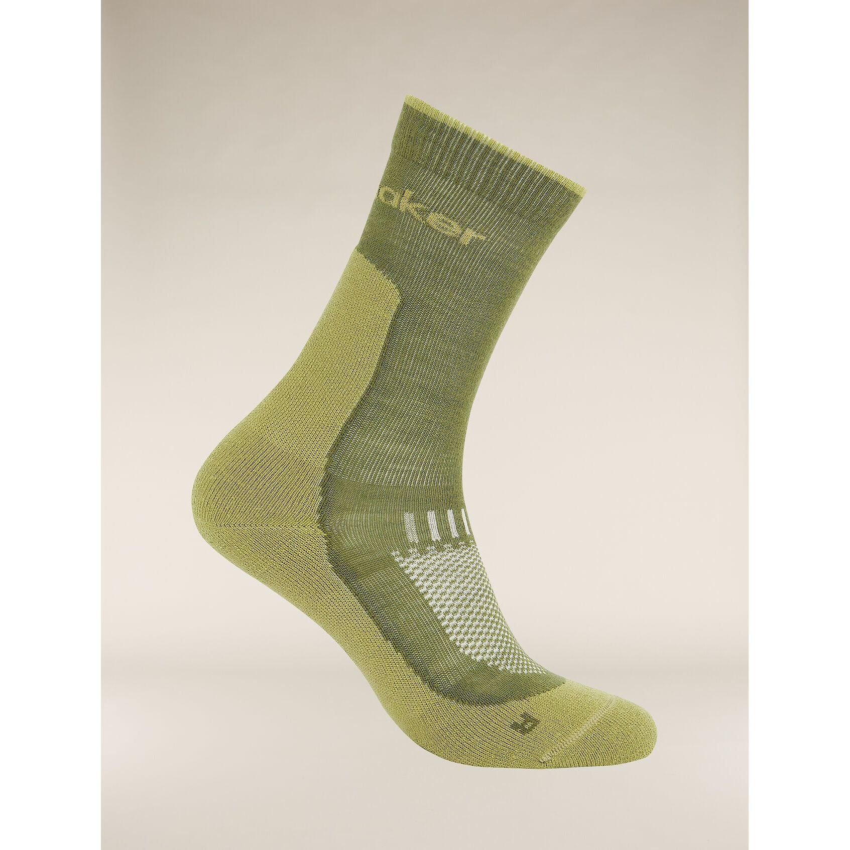Icebreaker Women's Merino Hike+ Light Crew Socks
