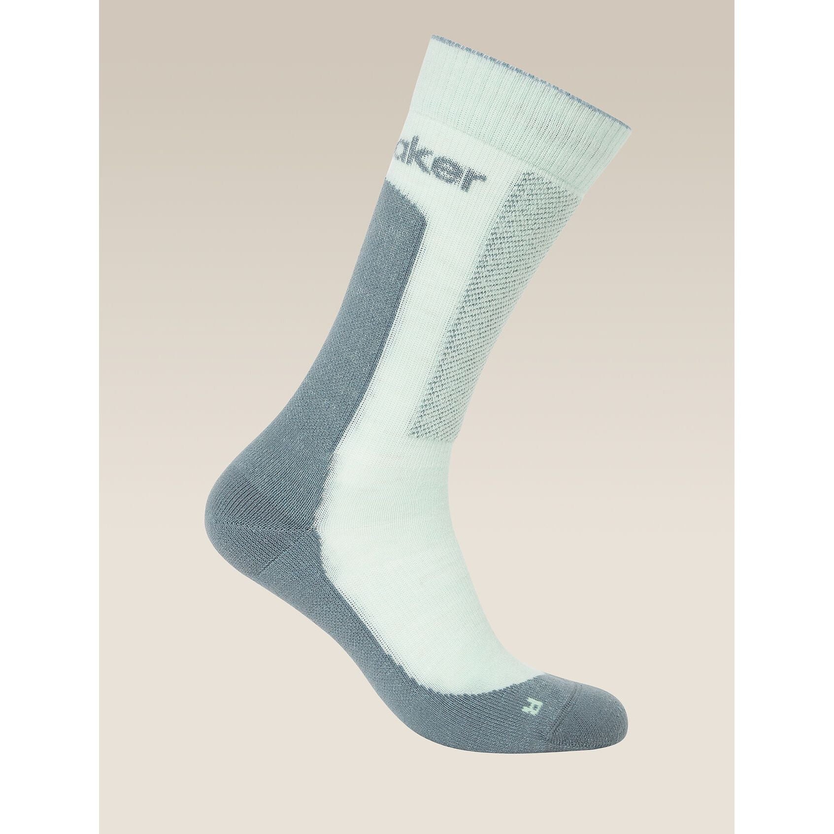 Icebreaker Men's Merino Hike+ Medium Crew Socks