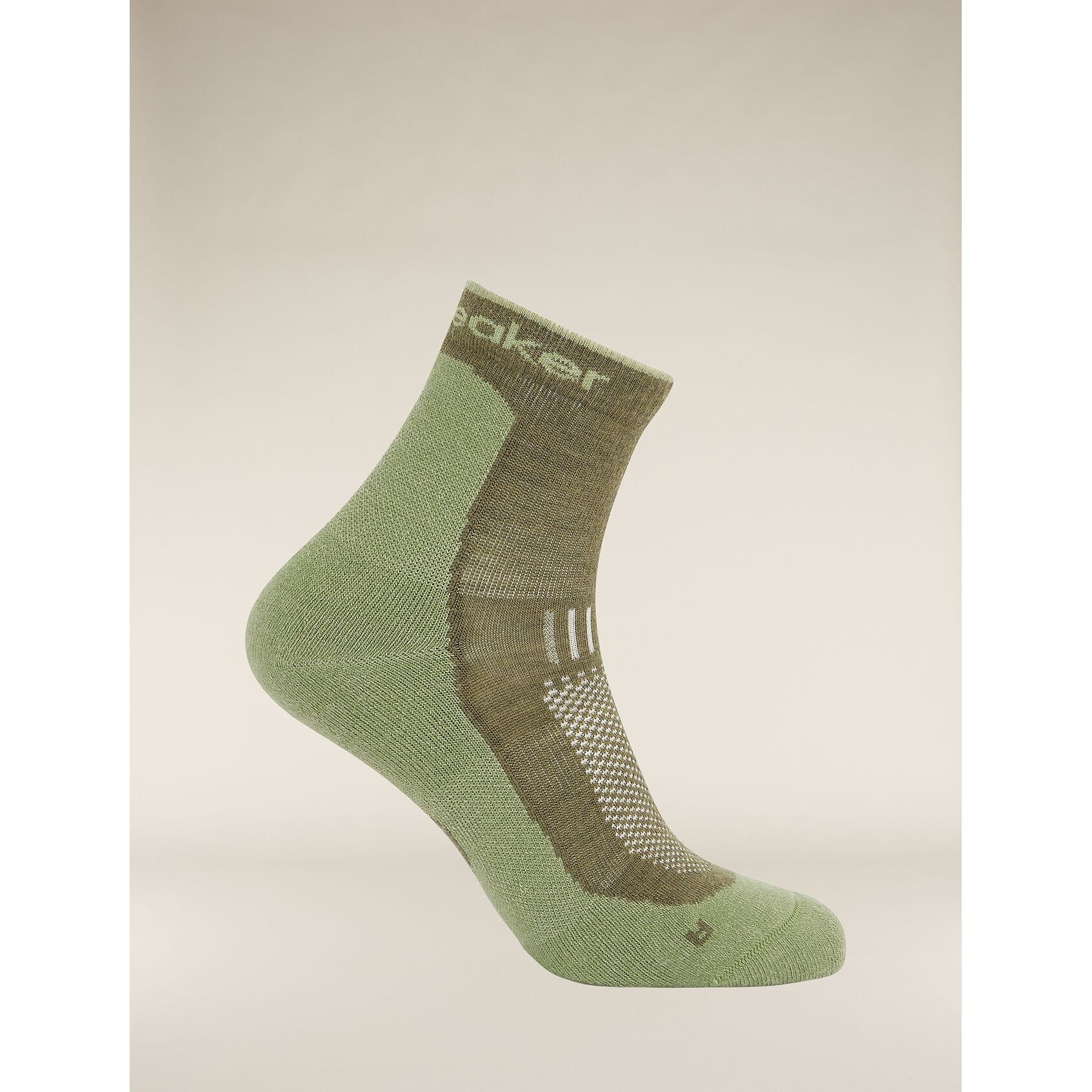 Icebreaker Men's Merino Hike+ Light Mini Sock