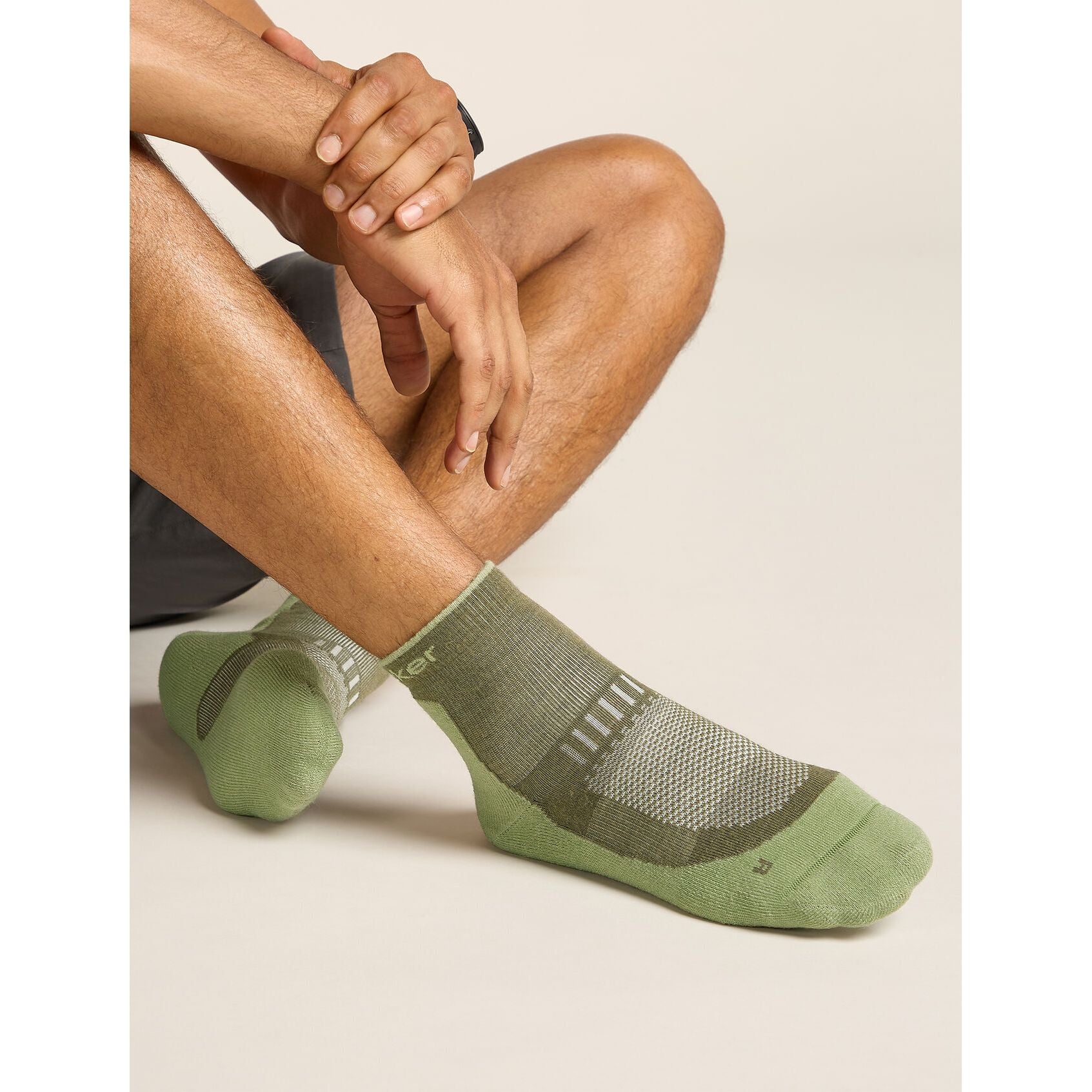 Icebreaker Men's Merino Hike+ Light Mini Sock