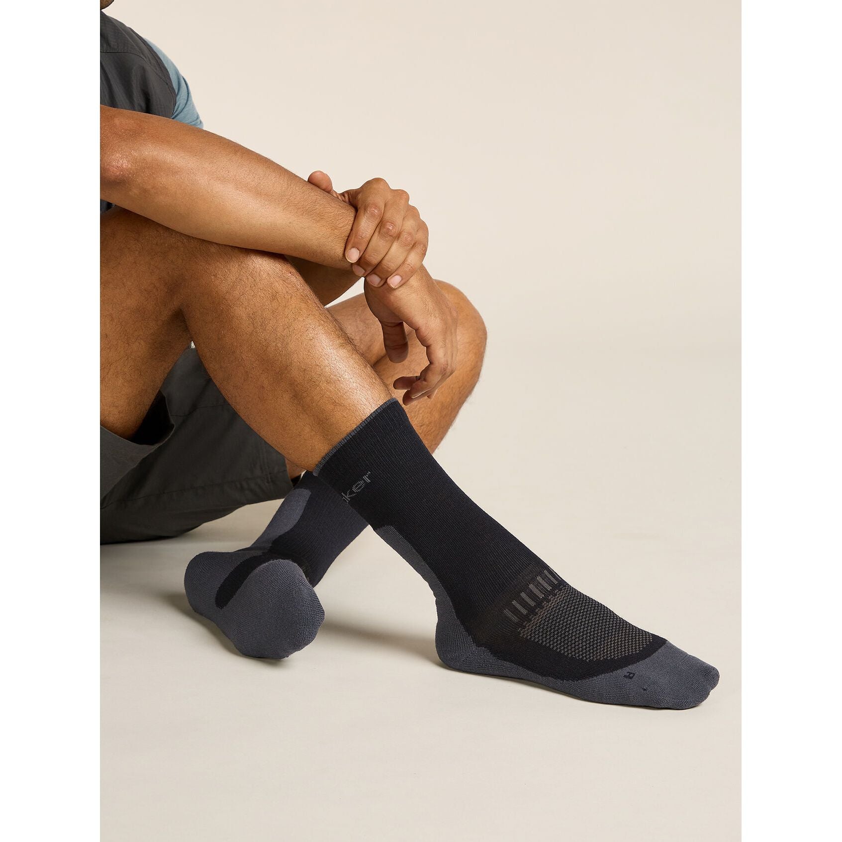 Icebreaker Men's Merino Hike+ Light Crew Socks