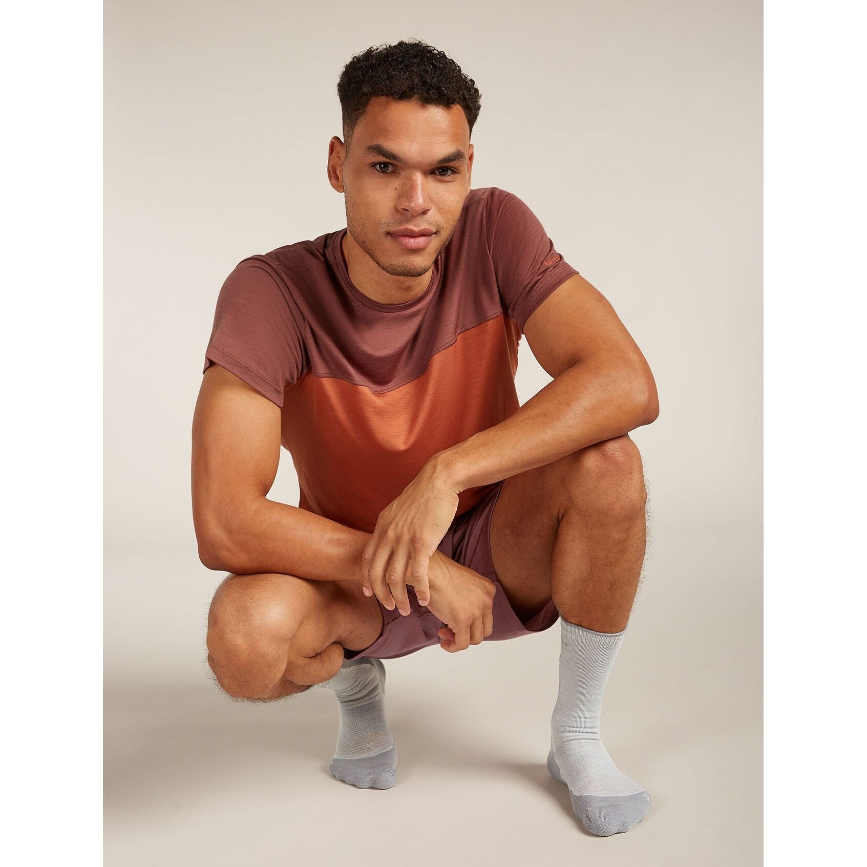 Icebreaker Men's Merino Hike+ Light Crew Socks