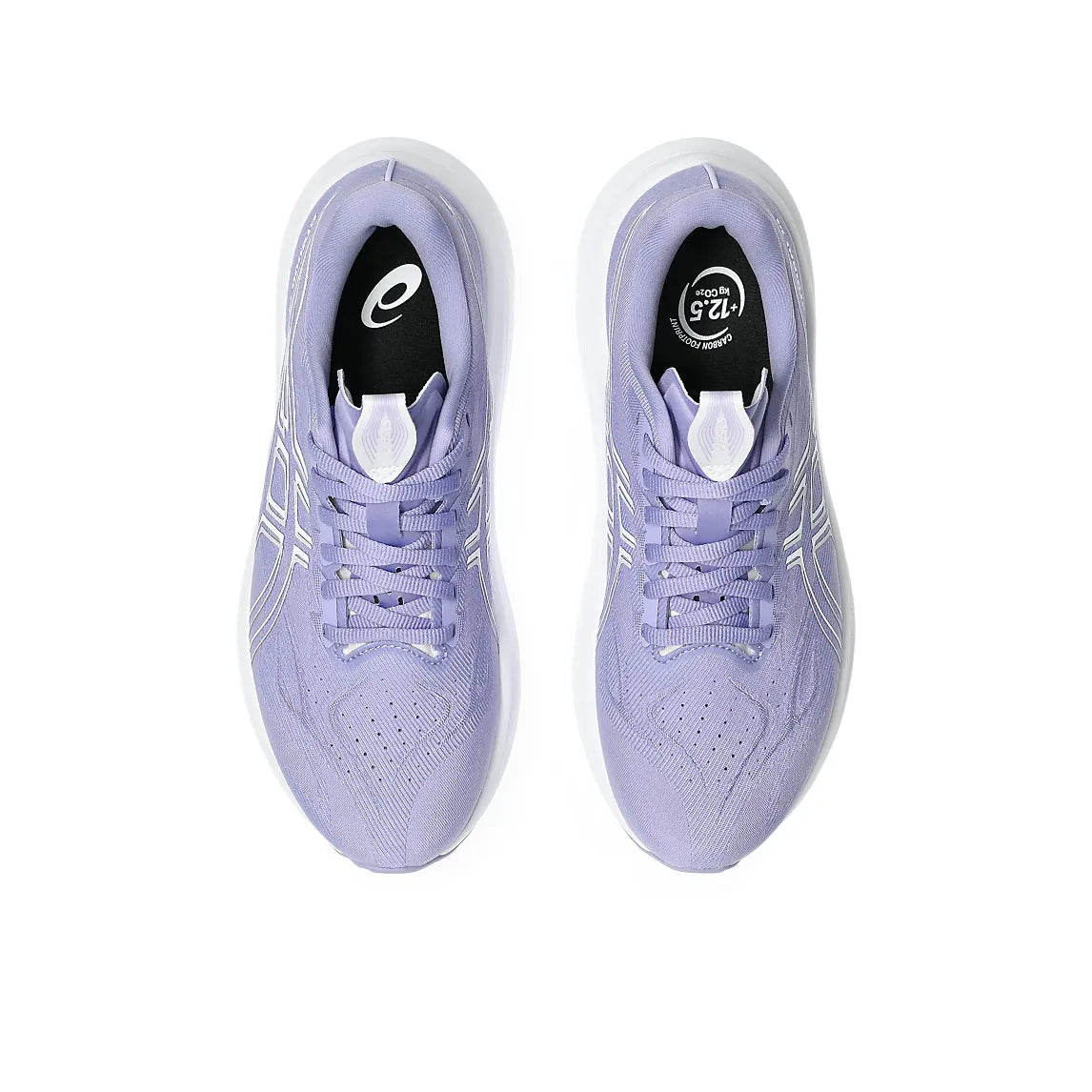Asics Women's GT-2000 14 Running Shoes
