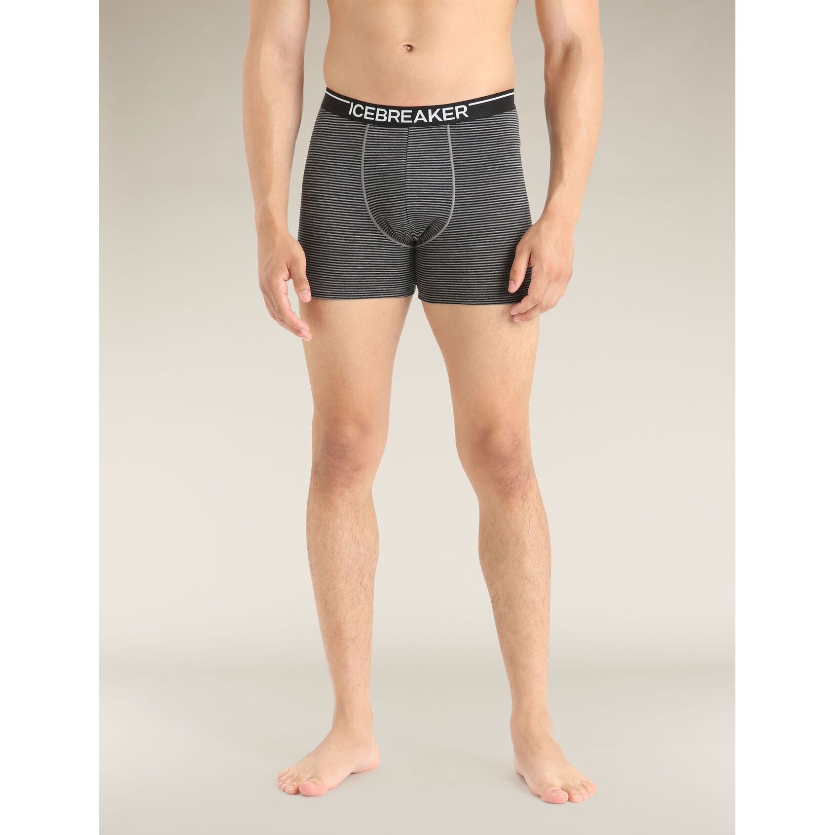 Icebreaker Men's Merino 150 Anatomica Boxers