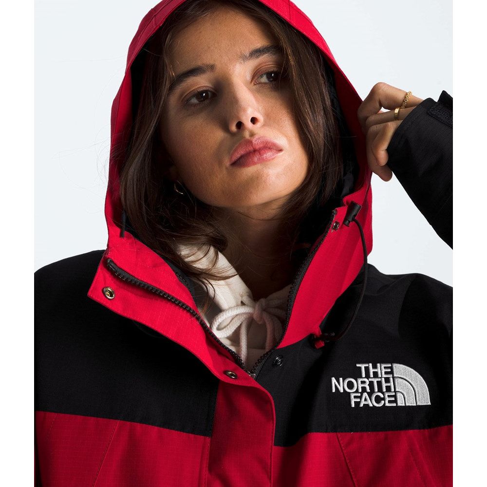 The North Face Women's DryVent Mono Mountain Jacket