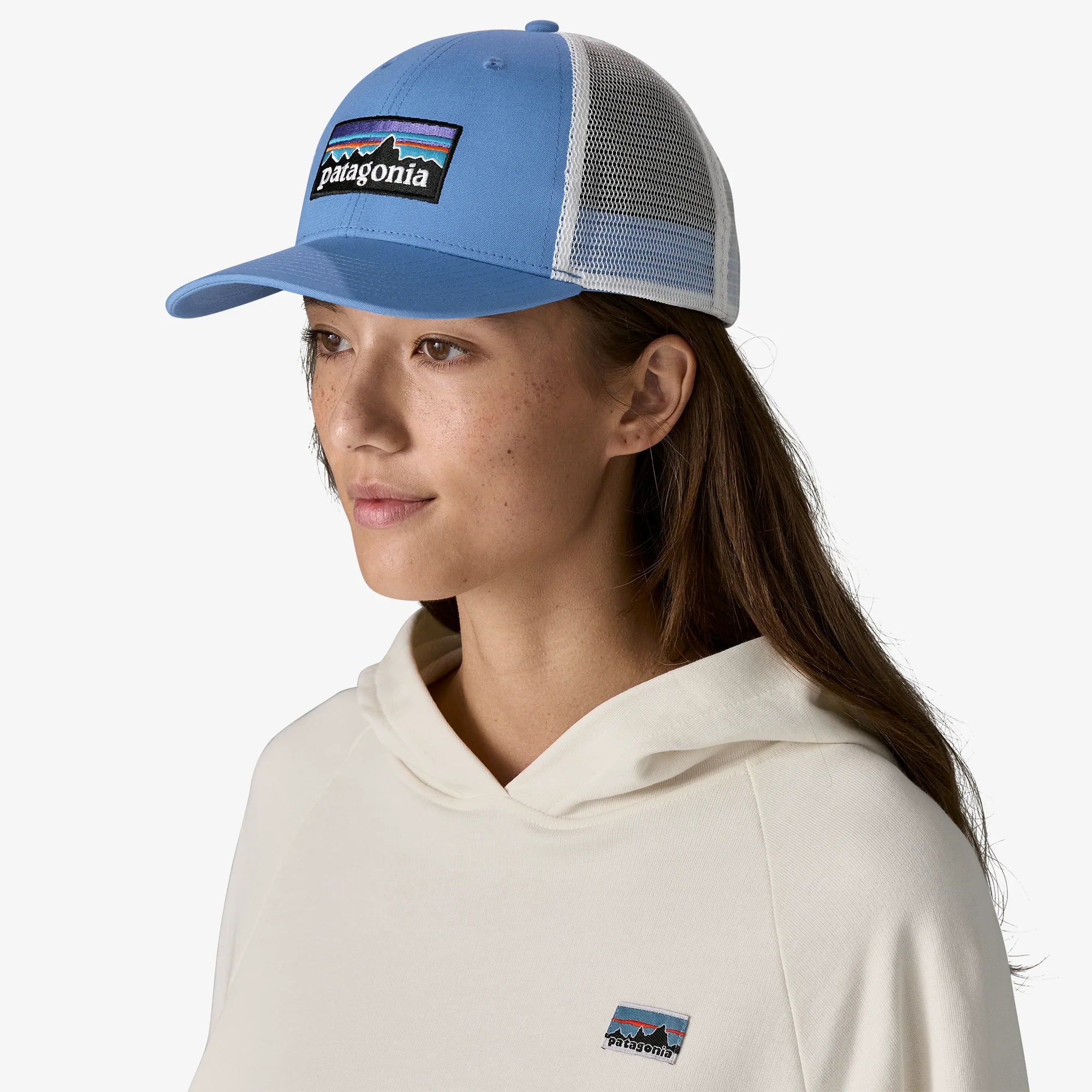Patagonia P-6 Logo LoPro Trucker Hat