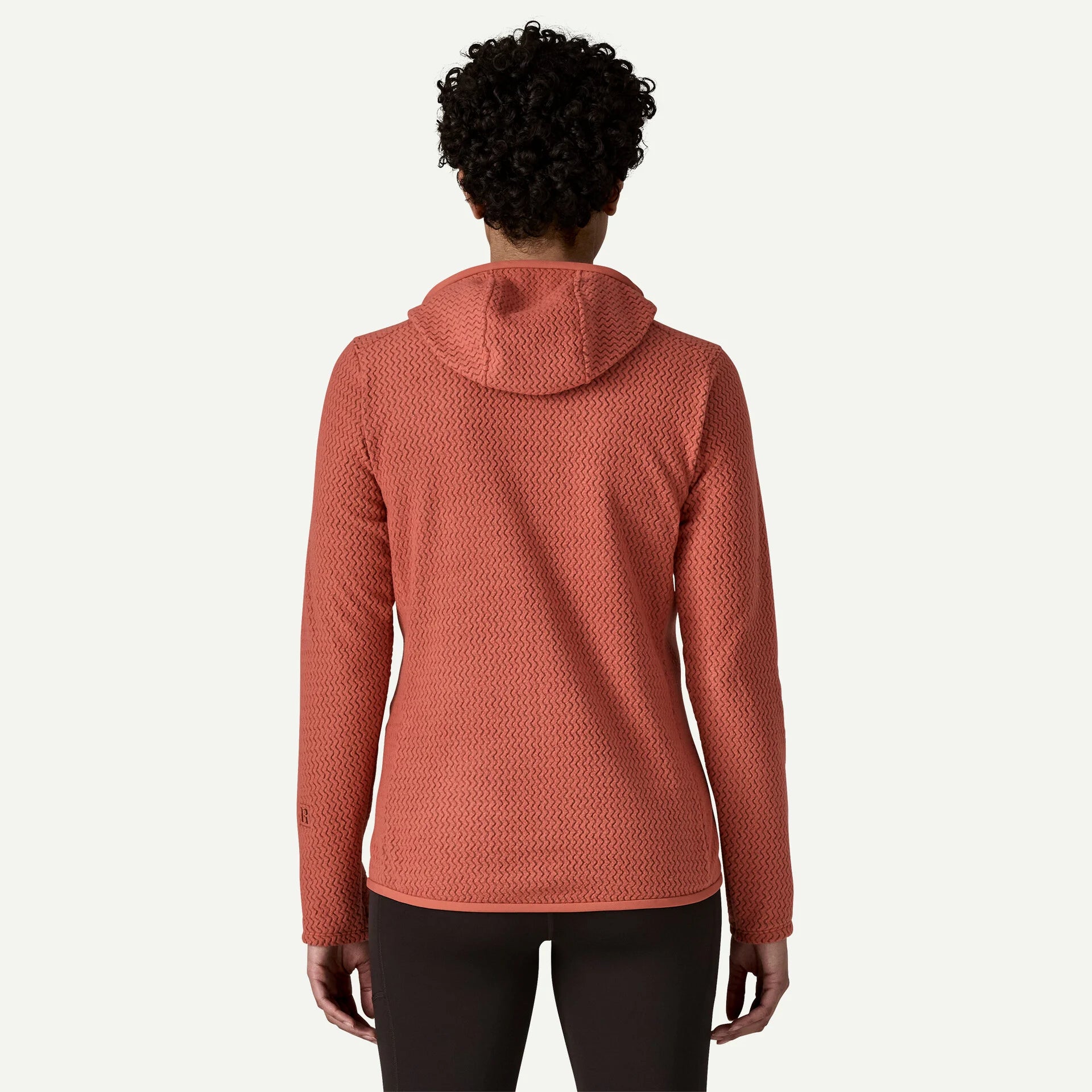 Patagonia Women's R1 Air Fleece Full-Zip Hoody