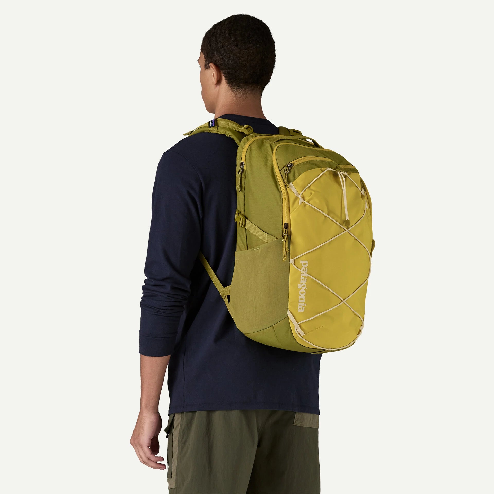Patagonia Refugio Daypack 30L