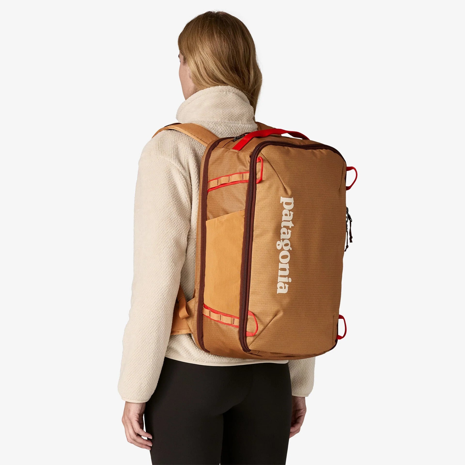 Patagonia Black Hole Mini MLC 30L