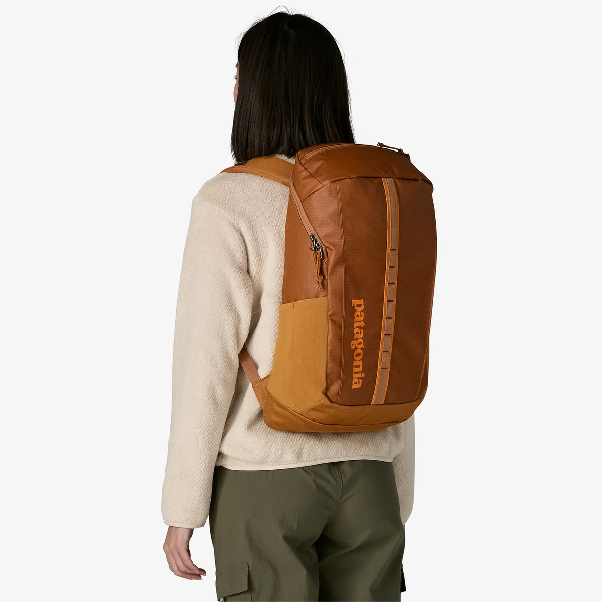 Patagonia Black Hole Pack 25L