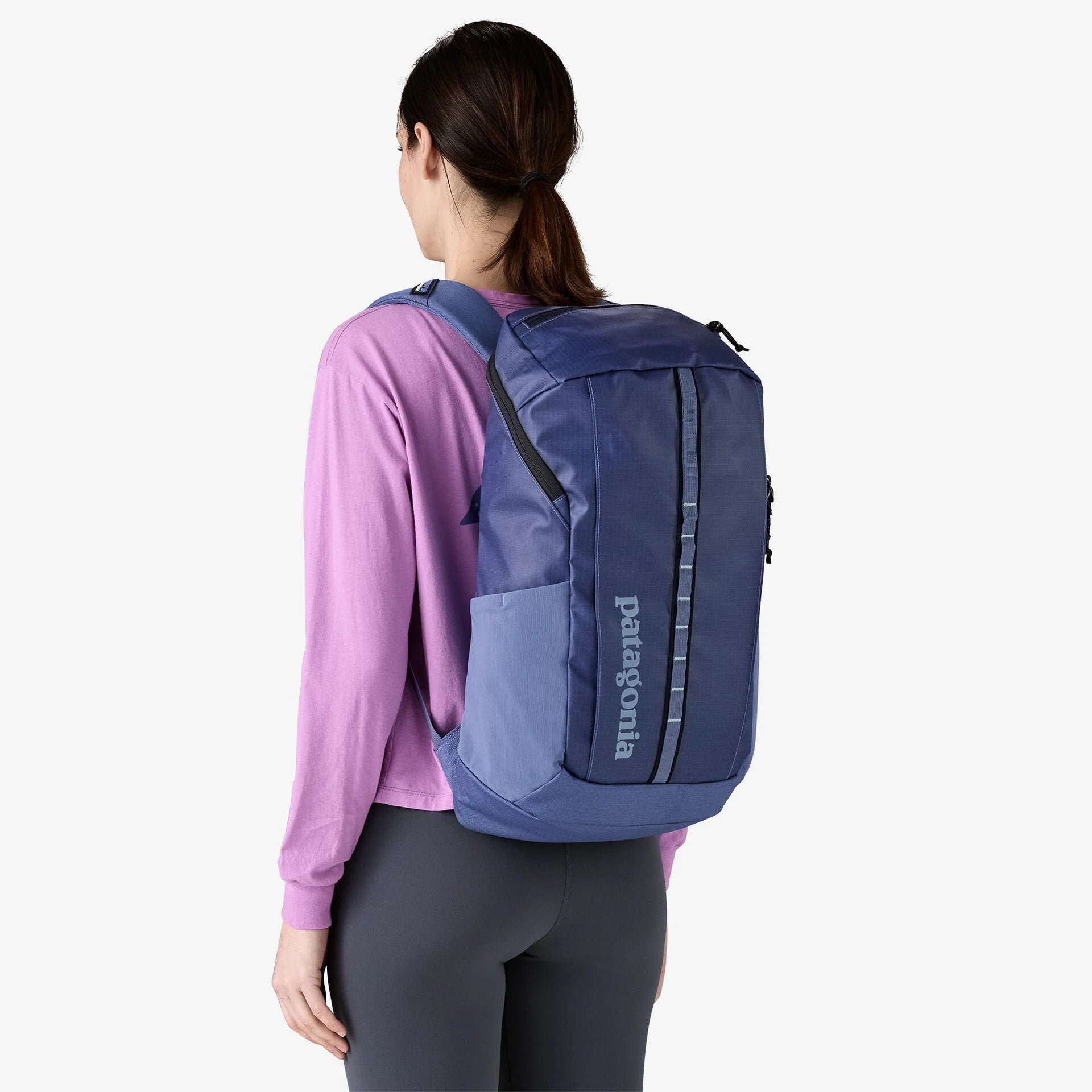 Patagonia Black Hole Pack 25L