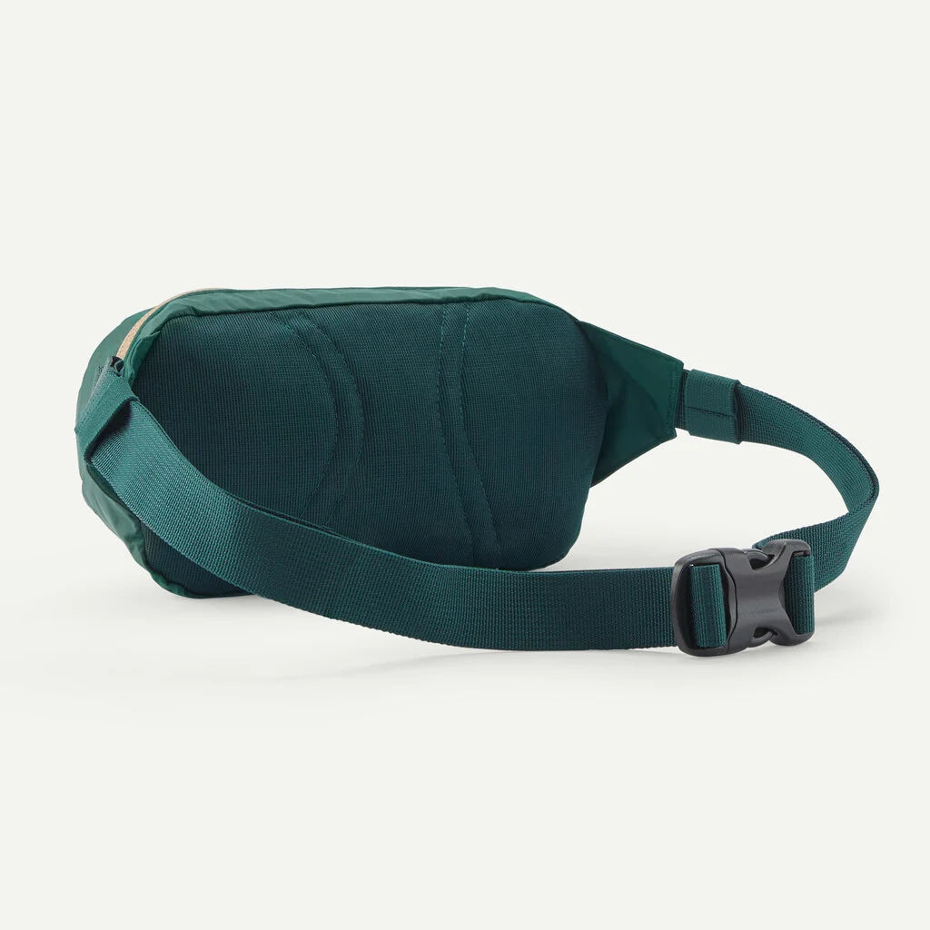 Patagonia Terravia Mini Hip Pack