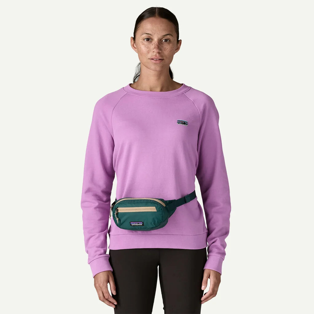 Patagonia Terravia Mini Hip Pack