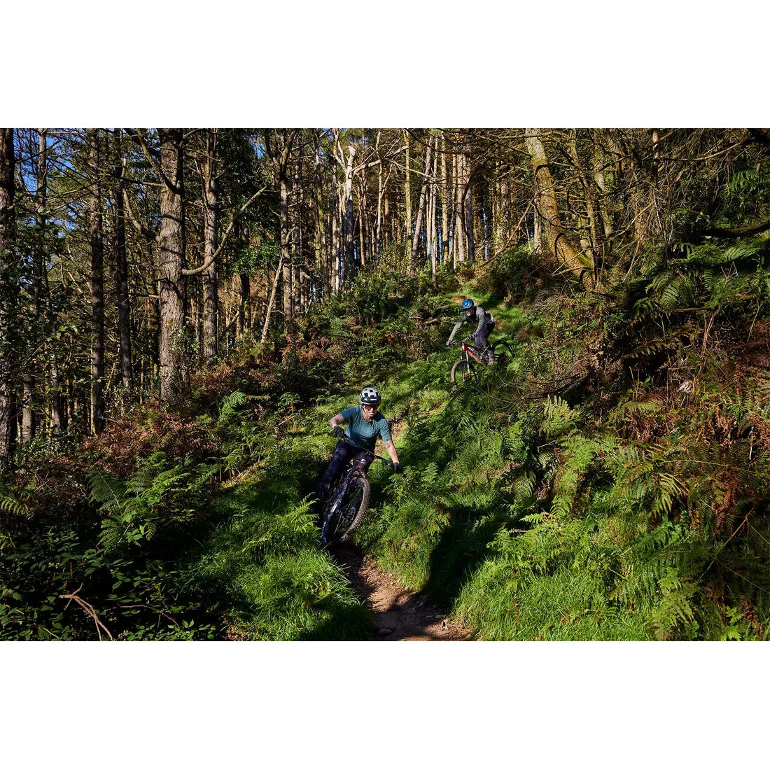 Whyte E-Lyte Evo Stag Works Electric Full Suspension Mountain Bike